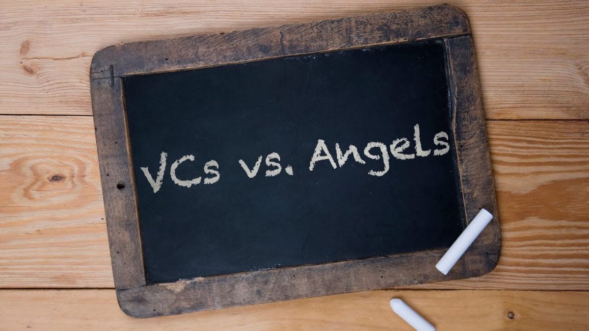 VCs vs Angel