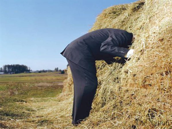 investment needle in haystack