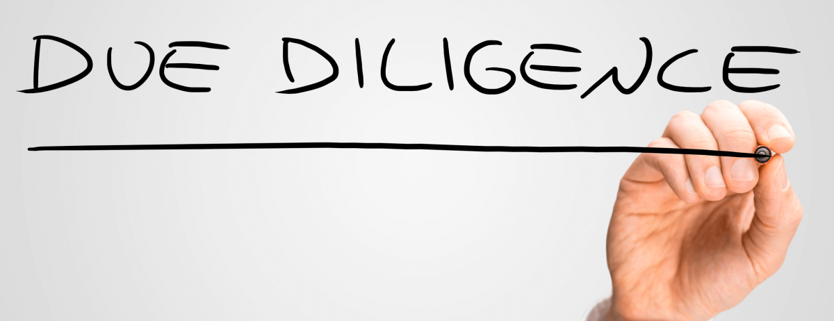 due diligence (1)