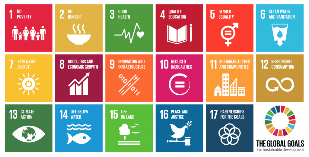 UN sustainable development goals millennial angel investor